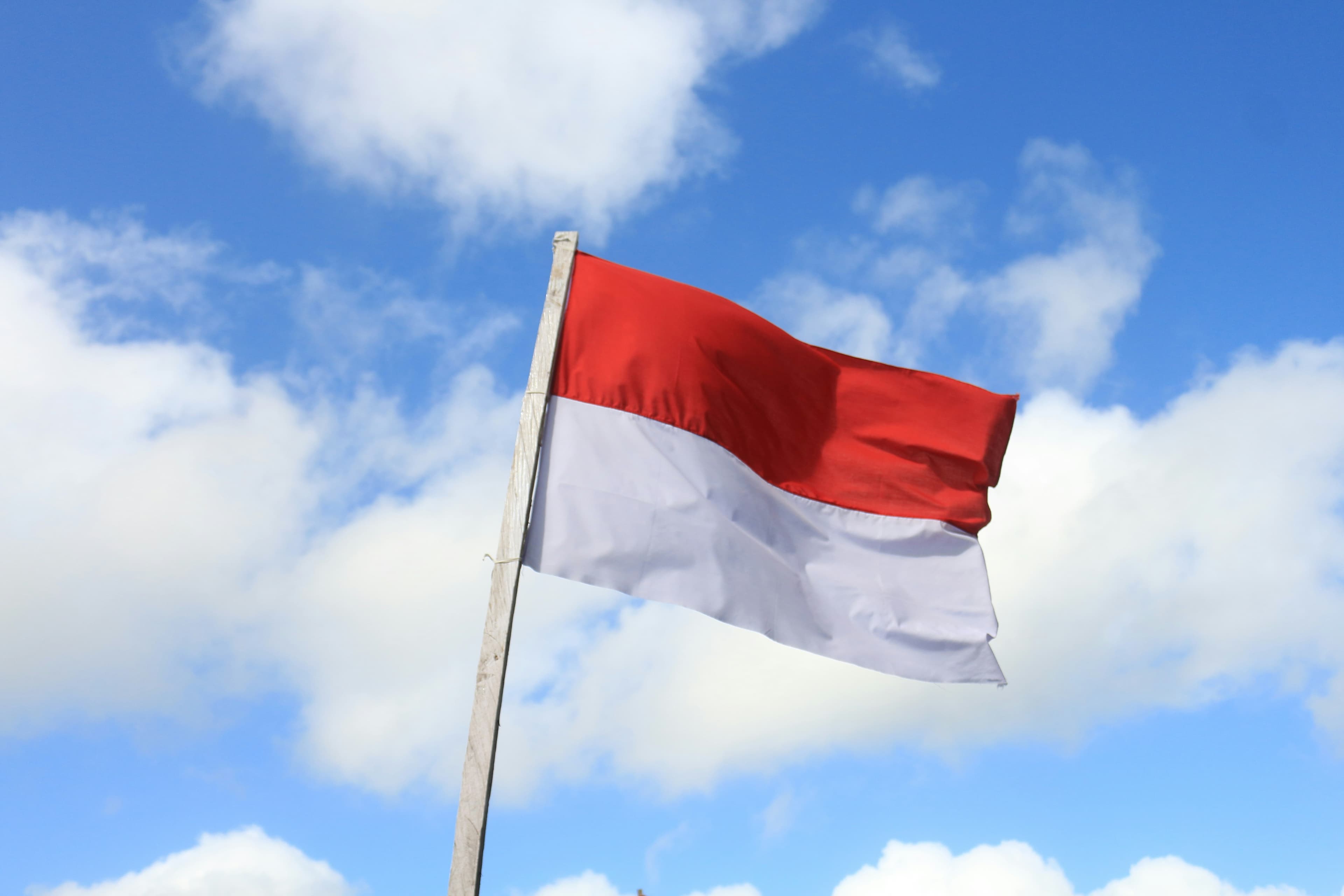 Sosialisasi Nasional